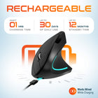 Delton S12 Wireless Rechargeable Ergonomic Computer Mouse - Right Handed - Black-This rechargeable mouse is equipped with a Type-C charging port for convenient charging, allowing use while charging for uninterrupted productivity.
