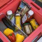 RovR RollR 45 Quart Wheeled Hard Cooler with Telescopic Handle - Coral-Specifically designed to store glass wine and spirit bottles upright