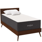Modway Aveline 14" Memory Foam Twin Mattress-Box Spring Or Foundation Optional