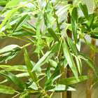HOMCOM 4' Artificial Bamboo Tree for Indoor Home Decor - Green - 2 Pack-Low maintenance required 