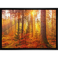 Golden Forest - Framed Canvas - 31" x 22"-High-quality art print professionally matted and framed