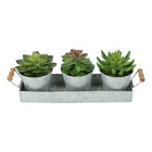 Monarch Specialties 9372 6" Tall Artificial Succulents - Silver Metal Pots - Set of 3-Crafted from high-quality materials, these artificial plants deliver a detailed realistic look with layered foliage and natural color variation