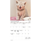 DateWorks 2026 16-Month Wall Calendar - 12" x 12" - Cuddly Kittens - Bilingual-Animals