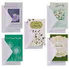 Jam Paper Christmas Money Cards & Matching Envelopes Set - Merry Christmas Tree - 6 Pack-Festive holiday cards, perfect for cash gifts for your friends and loved ones