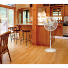 Lasko 18" Adjustable Cyclone Pedestal Fan-Fully adjustable height