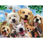 Howard Robinson Dog & Cat Selfie - 100 Pieces-7