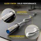 MotionGrey Olympic EZ Curl Bar for Strength Training - 120 cm - Silver-Weight lb: 15.4