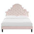 Modway Gwyneth Tufted Performance Velvet Full Platform Bed with Black Wood Legs - Pink-Stain-Resistant Performance Velvet