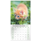 Mead 2027 Decorative Wall Calendar - 12" x 12" - Kittens - Bilingual-Printed on quality paper for clarity and durability throughout the year