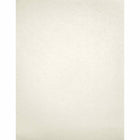 LUX 8 1/2 x 11 Cardstock, Quartz Metallic, 1000 Pack (81211-C-72-1000)-Comes in quartz metallic which is a shimmery white-silver