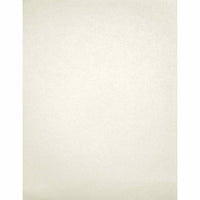LUX 8 1/2 x 11 Cardstock, Quartz Metallic, 1000 Pack (81211-C-72-1000)-Comes in quartz metallic which is a shimmery white-silver