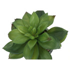 Monarch Specialties 6" Artificial Indoor Succulent - Table - Grey Cement Pots - Set of 2-6