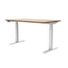 Gry Mattr + ergoCentric 54"W Longevity Electric Height Adjustable Desk-Quiet dual motors