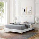 Modway Current Performance Velvet Full Platform Bed with Gold Metal Legs - White-Stain-Resistant Performance Velvet