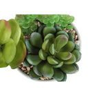Monarch Specialties 7" Artificial Indoor Succulent Green Plants - Table - White Ceramic Pots - Set of 2-7