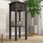 HOMCOM 2-Tier Side Table with Storage - Coffee-Colour: Coffee