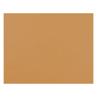 Pacon 4-Ply Railroad Board - 22" x 28" - Orange - 25 Pack-High-quality 4-ply railroad board, ideal for construction, mounting, stenciling, posters or anchor charts