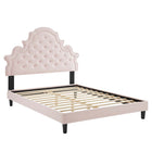 Modway Gwyneth Tufted Performance Velvet Queen Platform Bed with Black Wood Legs - Pink-Queen Platform Bed
