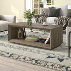 Hudson&Canal Evie 48"W Rectangular Coffee Table - Antiqued Grey Oak-Finished in wood-look antiqued gray oak