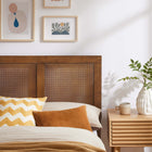 Modway Sirocco Rattan and Wood Twin Platform Bed - Walnut-Synthetic Rattan Cane Webbing