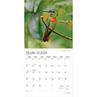 Plato 2026 Hummingbirds Monthly Hanging Wall Calendar - 12" W x 24" H  - English-Use Right Away - 16-month calendar, 12 full monthly pages and beginning with a bonus spread of the final four months of the preceding year with an additional image