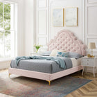 Modway Gwyneth Tufted Performance Velvet Full Platform Bed with Gold Metal Legs - Pink-Wood Slat Support System