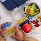 b.box - Lunchbox - Midnight-9