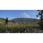 Kingdom Come: Deliverance for PlayStation 5-9