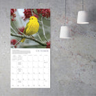 Sellers Publishing Inc. 2026 Wall Calendar - Songbirds - English-Includes all major U.S., Canadian, United Kingdom, Australian, and New Zealand holidays & moon phases 