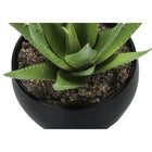 Monarch Specialties 6" Artificial Indoor Succulent Green Plants - Table - Black Pots - Set of 3-6