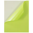 JAM Paper Full Page Labels, 8.5 x 11 Sticker Paper, AstroBrights Terra Lime Green, 2 sets of 5 (337628608g)-2 packs of 10 labels each