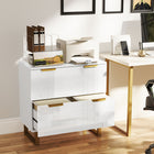 HOMCOM 2 Drawer File Cabinet with Adjustable Rails for Letter/A4/Legal Size Files - High Gloss White-Features a modern-luxe design with a high gloss finish and gold accents