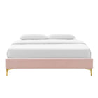 Modway Sutton Performance Velvet Queen Bed Frame - Pink-Wood Slat Support System