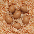 Yellow Door Sensory Sound Eggs Set-Includes six realistic eggs with three different sounds