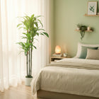 HOMCOM 5' Artificial Dracaena Tree - Green-Colour: Green 