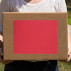 JAM Paper Full Page Labels, 8.5 x 11 Sticker Paper, AstroBrights Re-Entry Red, 2 sets of 5 (337628603g)-5
