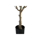 Monarch Specialties 46" Artificial Indoor Eucalyptus Tree - Floor - Black Pot-No assembly required: product dimensions: 24 in. L x 22 in. W x 46 in. H