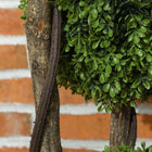 HOMCOM 45" Artificial Boxwood Triple Ball Topiary Tree - Green-Grass and cement soil are included, making it more stable and real 