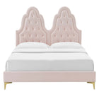 Modway Alexandria Tufted Performance Velvet Twin Platform Bed with Gold Metal Legs - Pink-Assembly Required
