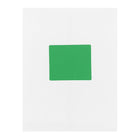 JAM Paper Mailing Address Labels - 3 1/3 x 4 - Green - 2 sets of 120-5