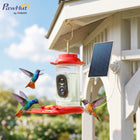 PawHut Solar Powered Smart Hummingbird Ｗater Feeder with 2K HD Live Video Camera-Adjustable 3W solar panel provides up to 5 months of continuous power 