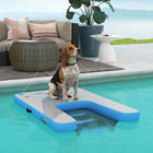 PawHut 60" L Dog Water Ramp for Pets Up to 300 lbs - Blue-Includes manual pump and storage bag for portability 
