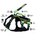 Healthy Harness Absolute Adventure Harness - Silver - Medium-Multiple leash attachment points-front clip for training, back clip for casual walks, and a sturdy handle for emergencies