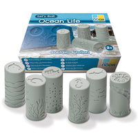 Yellow Door Let's Roll - Ocean Life Rollers - Set of 6-Explore precious and enticing ocean habitats with this set of creative rollers.