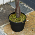 Outsunny 4' Artificial Laurel Tree in Pot - Green - 2 Pack-Material: PE, PP, Cement 