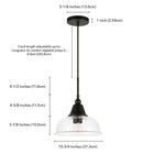 Hudson&Canal Magnolia 10.75" Wide Pendant with Glass Shade - Blackened Bronze/Seeded-Product Dimensions: 10" L x 10" W x 8" H