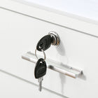 Vinsetto 2-Drawer Letter/A4 Filing Cabinet with Lock - White-Safety design, included 2 keys to secure top drawer
