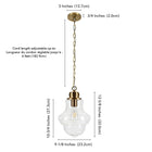 Hudson&Canal Annie 9.13" Wide Pendant with Glass Shade - Brass/Clear-Product Dimensions: 9" L x 9" W x 12" H