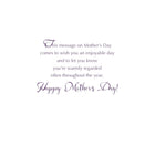 Mill Brook Studio Mother's Day Greeting Cards/Envelopes - 5-3/8" x 7-3/4" - Best Wishes - 18 Pack-Printed on premium uncoated paper