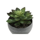 Monarch Specialties 6" Artificial Indoor Succulent Green Plants - Table - Grey Cement Pots - Set of 3-6